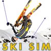 skisim